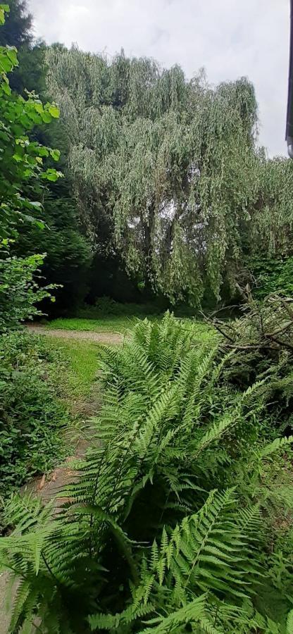 Fewo Im Naturschutzgebiet Hiddenhausen Buitenkant foto